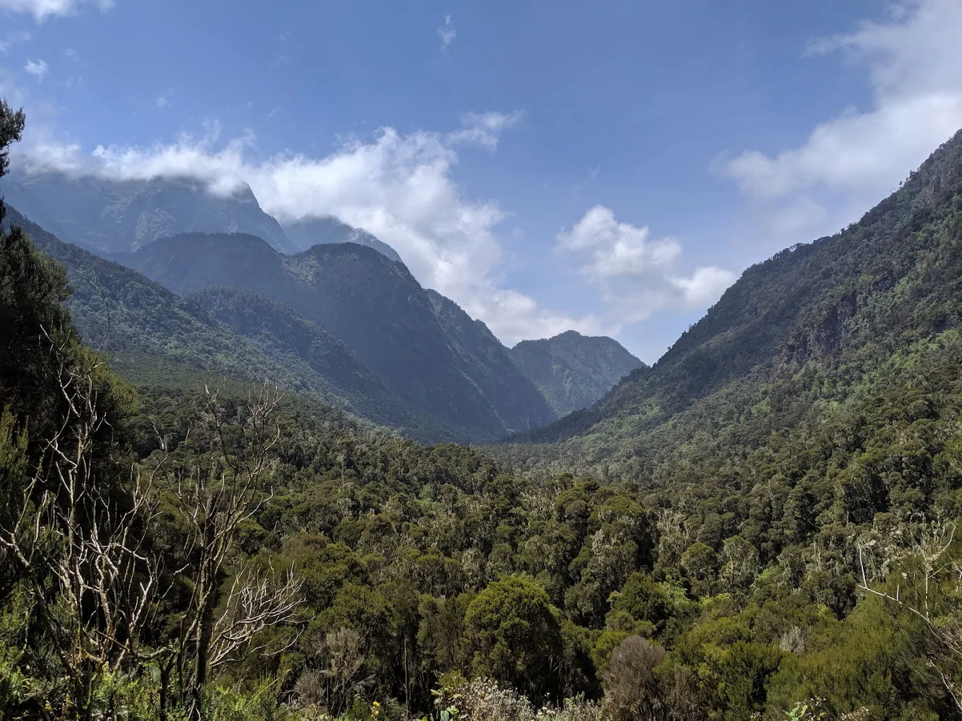 Rwenzori Mountain Hiking Tour Uganda