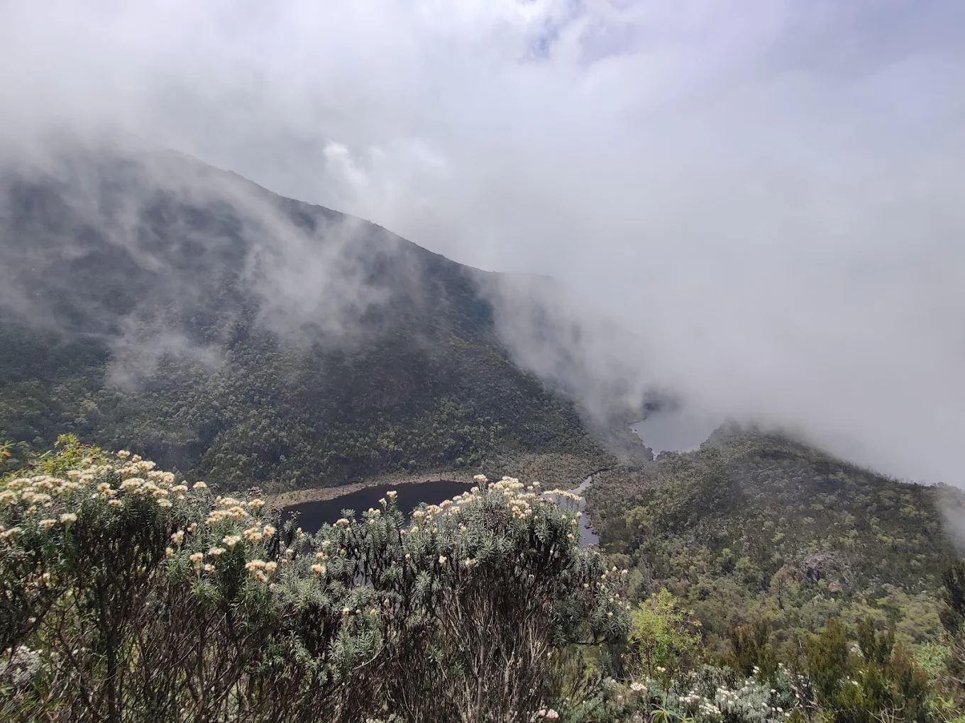 Rwenzori Misty Mountains Hike Uganda