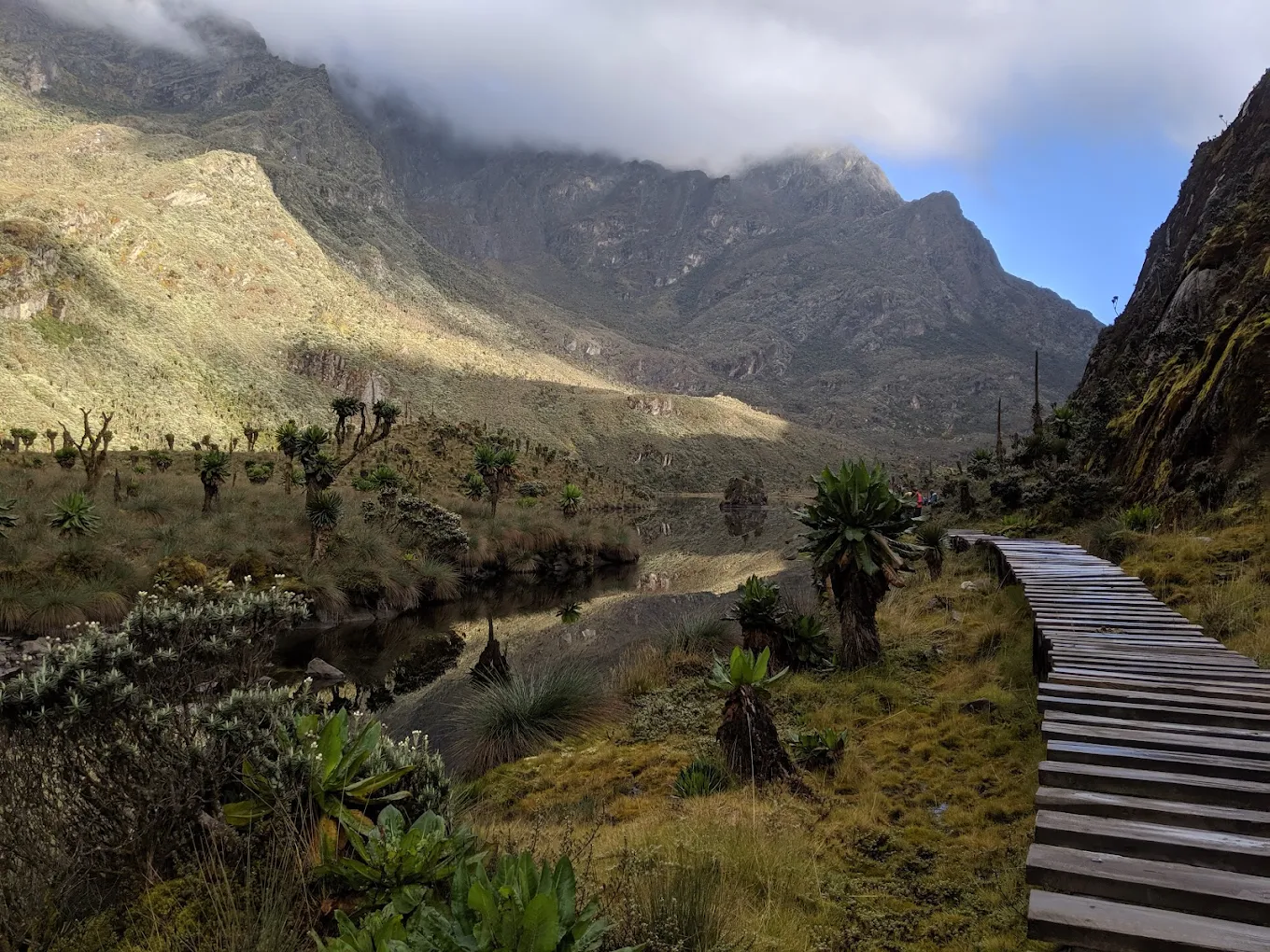 Rwenzori Hiking Trails Uganda