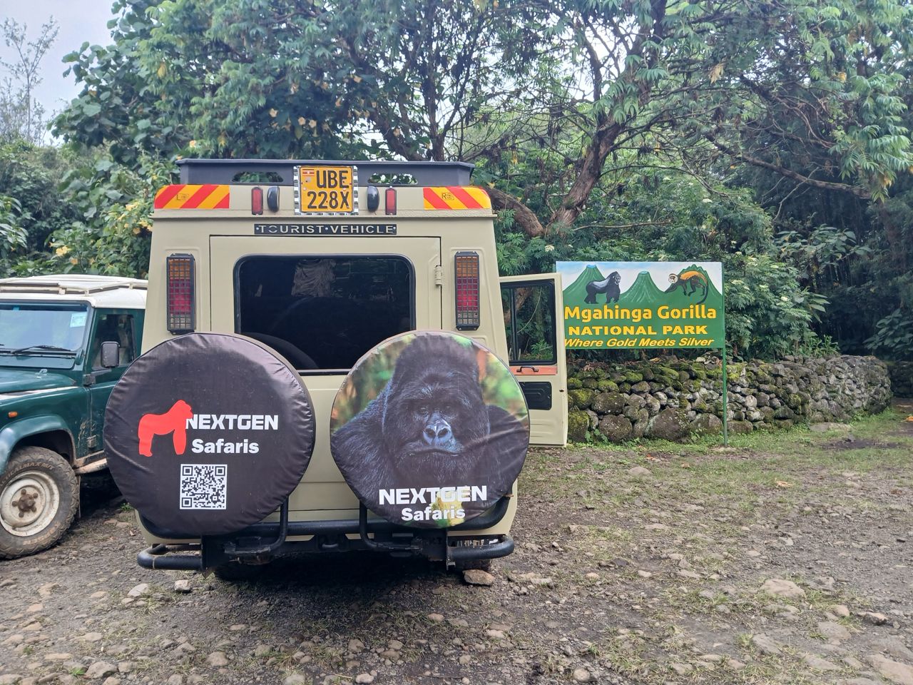 Why Book Short Gorilla Trekking Tours in Uganda with Nextgen Safaris?
