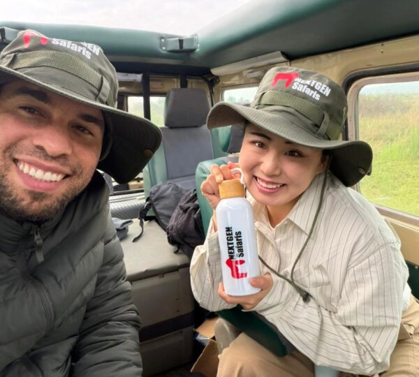 Plan Your Africa Safari with Nextgen Safaris 