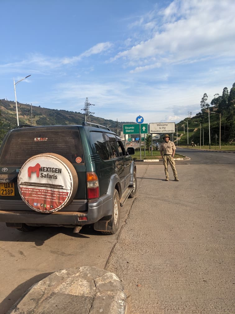 African Safari Experience