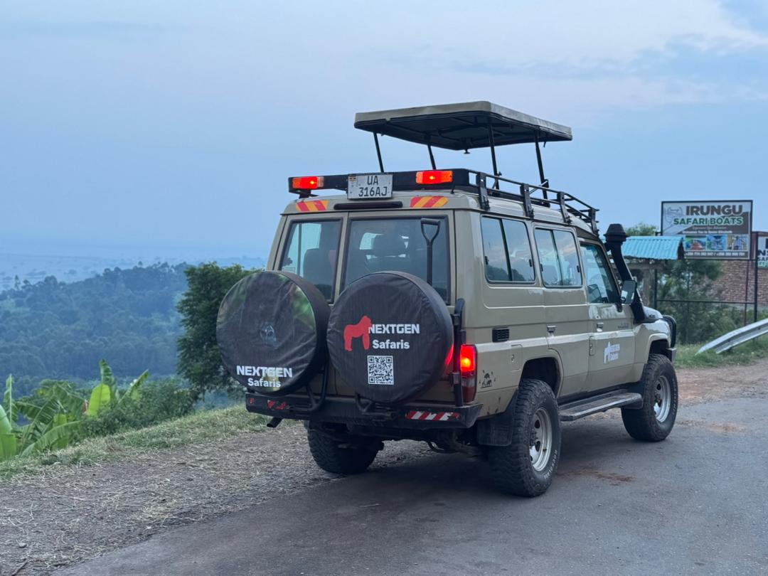 Gorilla trekking safari guest in Uganda