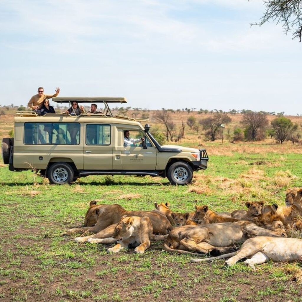 10 Days Uganda from Rwanda Safari in Queen Elizabeth National Park