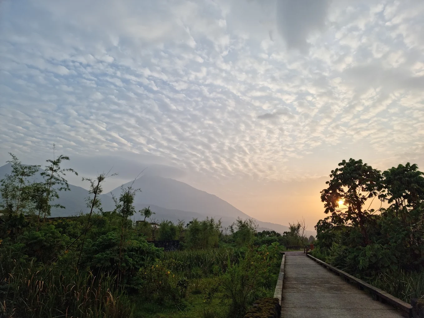 9 Days Rwanda Gorilla Trekking Honeymoon Experience