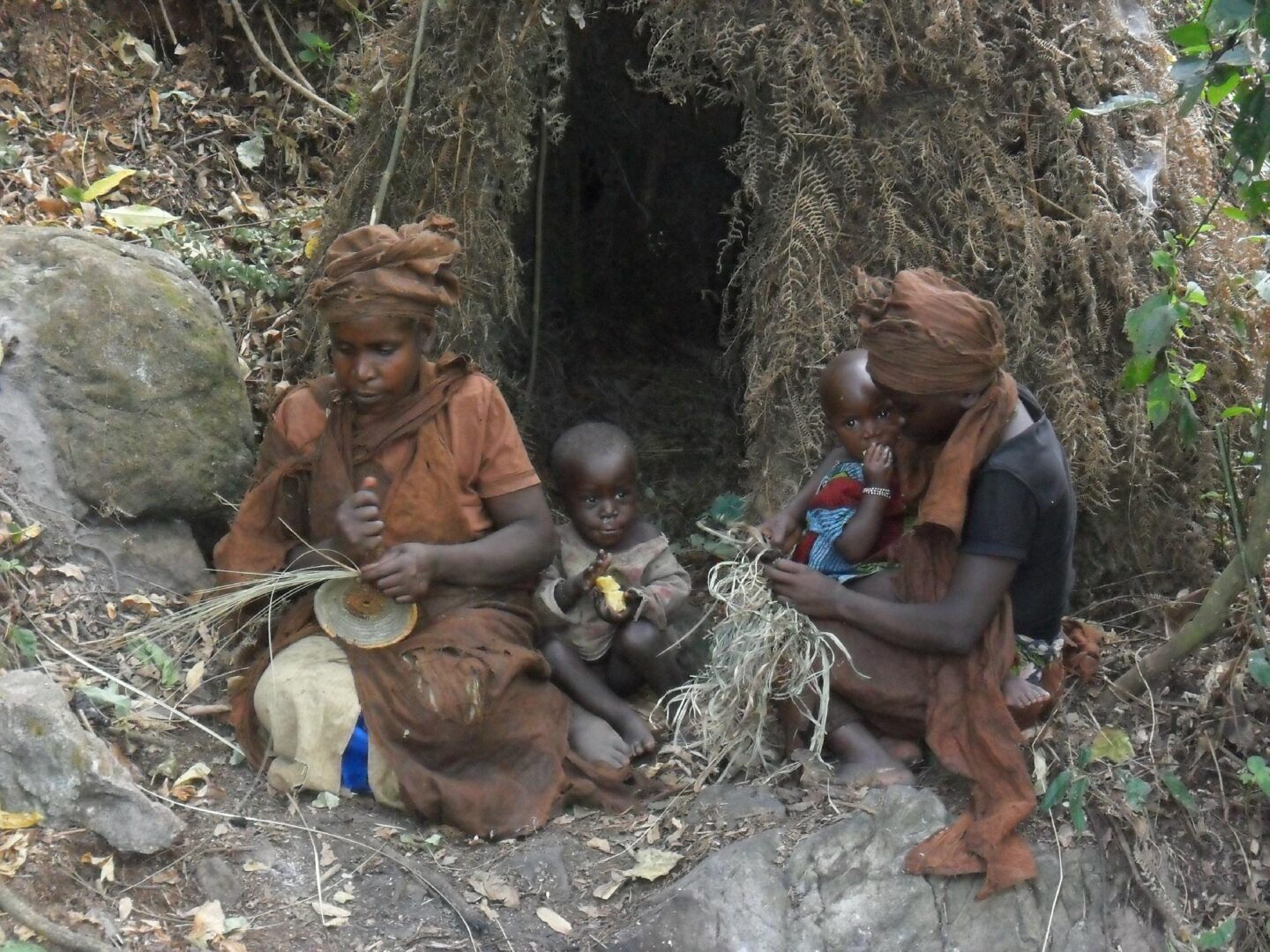 hunter-gatherers within the forest, relying on its resources for food, medicine, and shelter.
