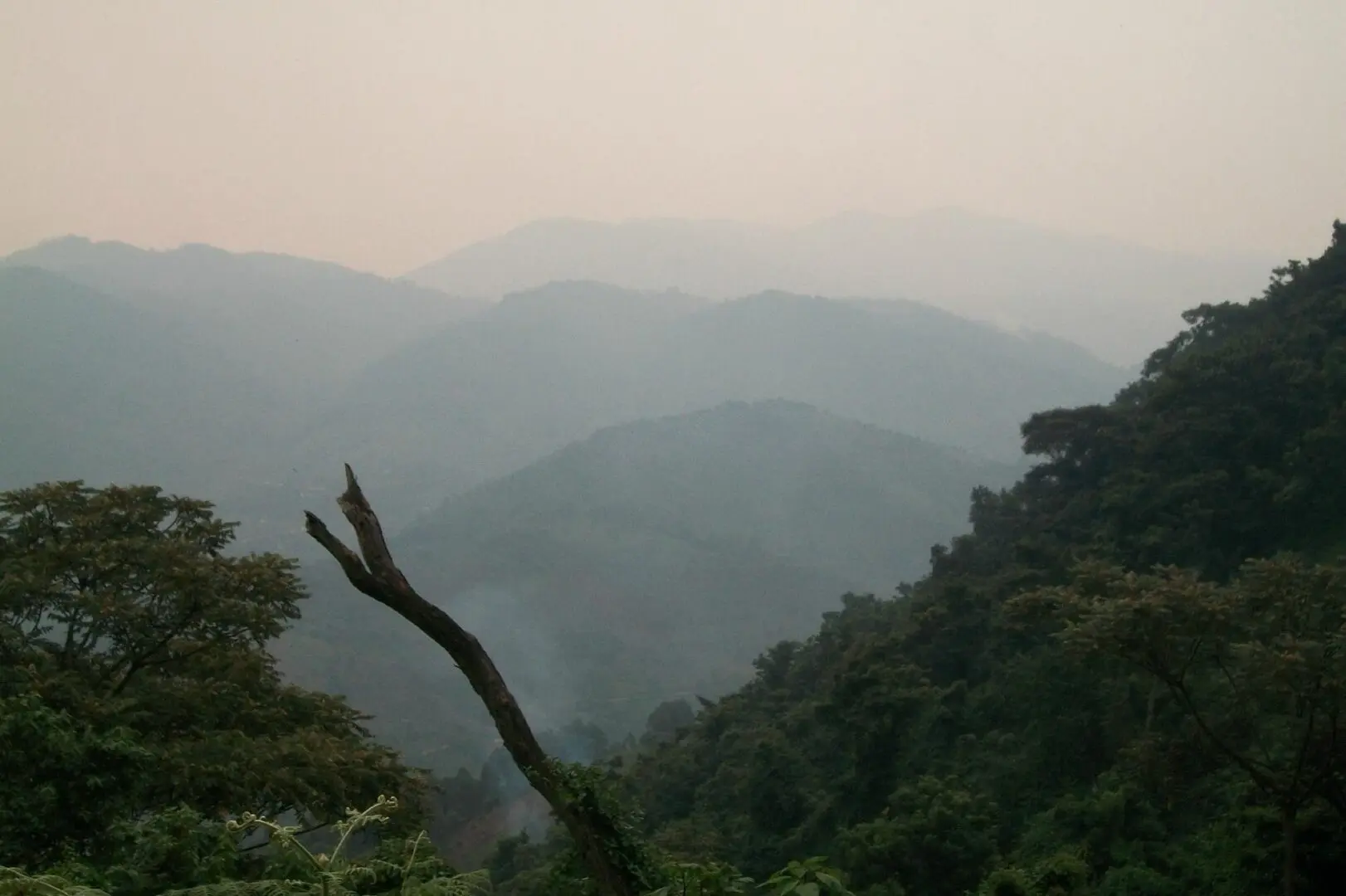 Final Verdict: Is Uganda Safe to Visit During Elections?
