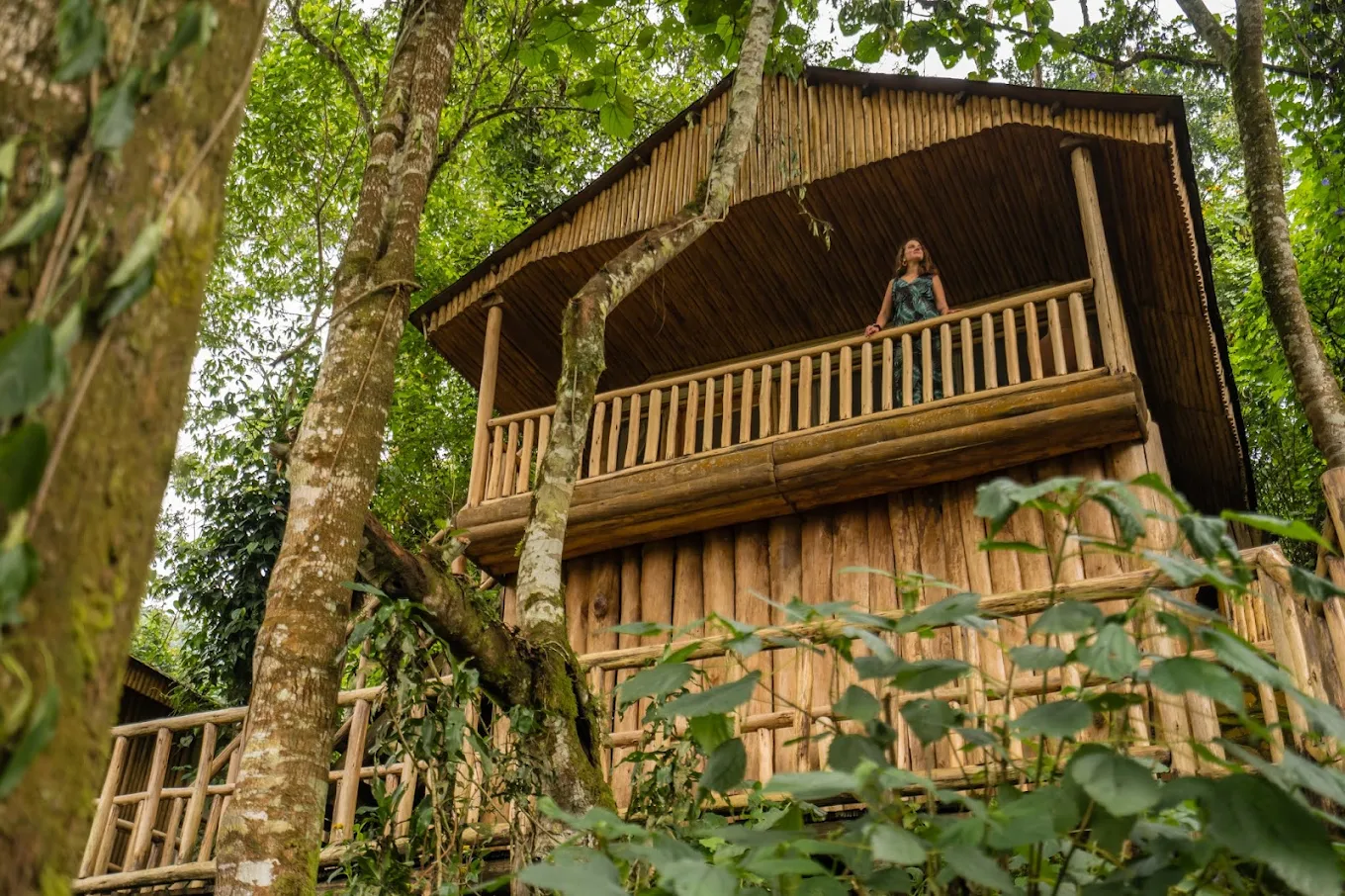 Buhoma Lodge in Bwindi Impenetrable Forest