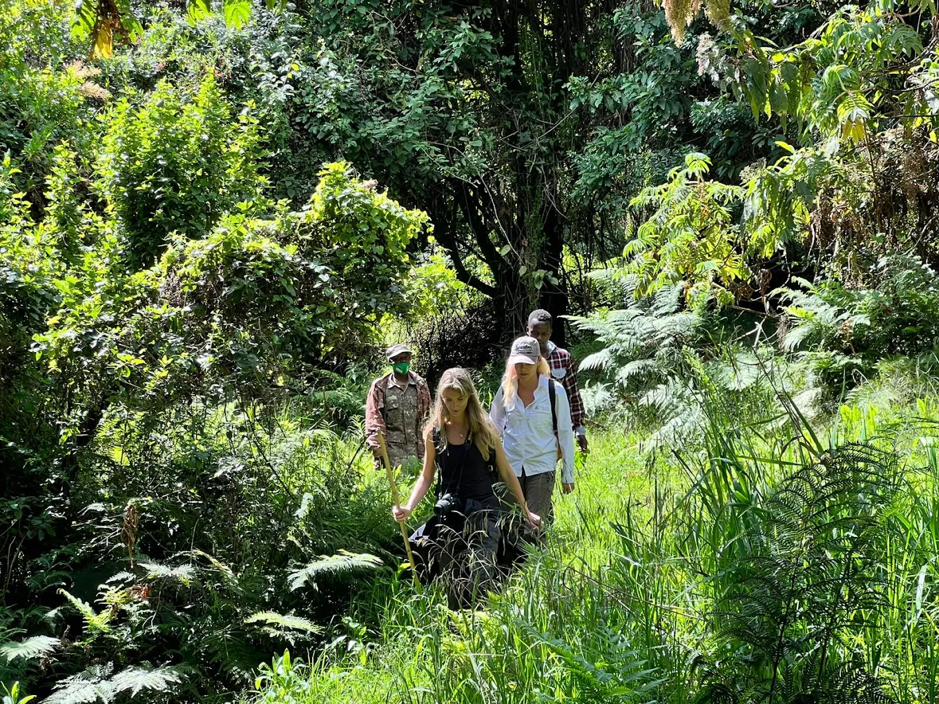 How Physically Demanding Is Gorilla Trekking for Americans?
