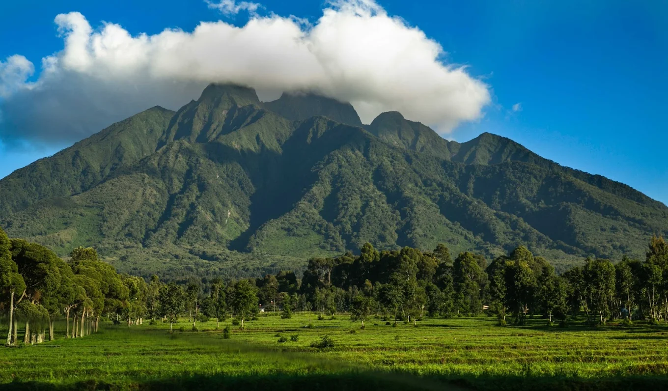 Mgahinga Gorilla National Park – Volcanic Drama and Intimacy