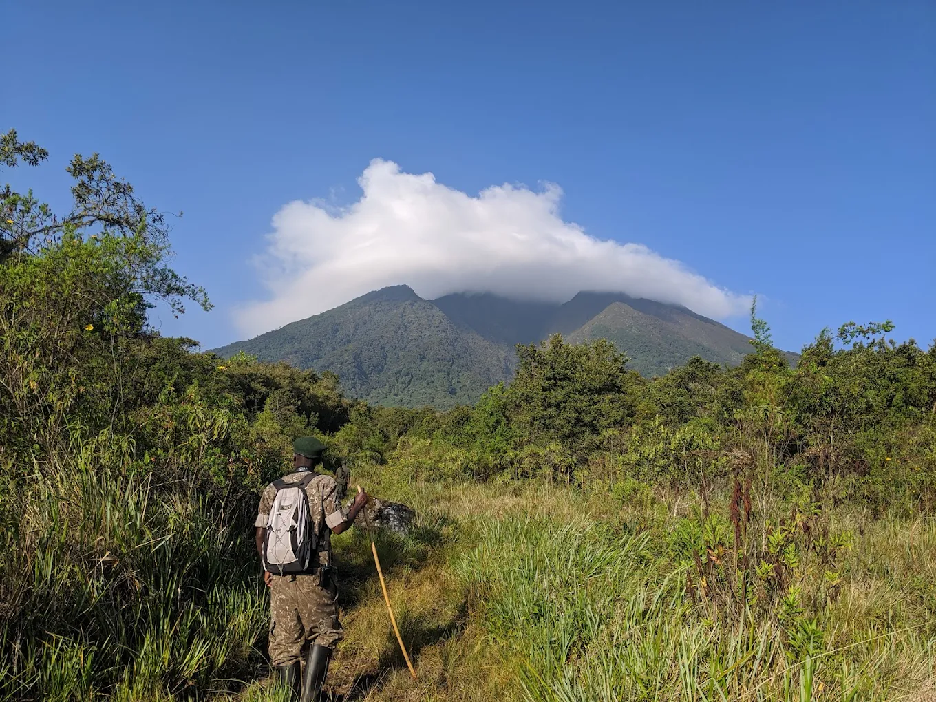 Cheap gorilla trekking in Mgahinga Gorilla National Park