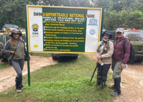 Bwindi Impenetrable National Park – The Ultimate Gorilla Experience in Uganda