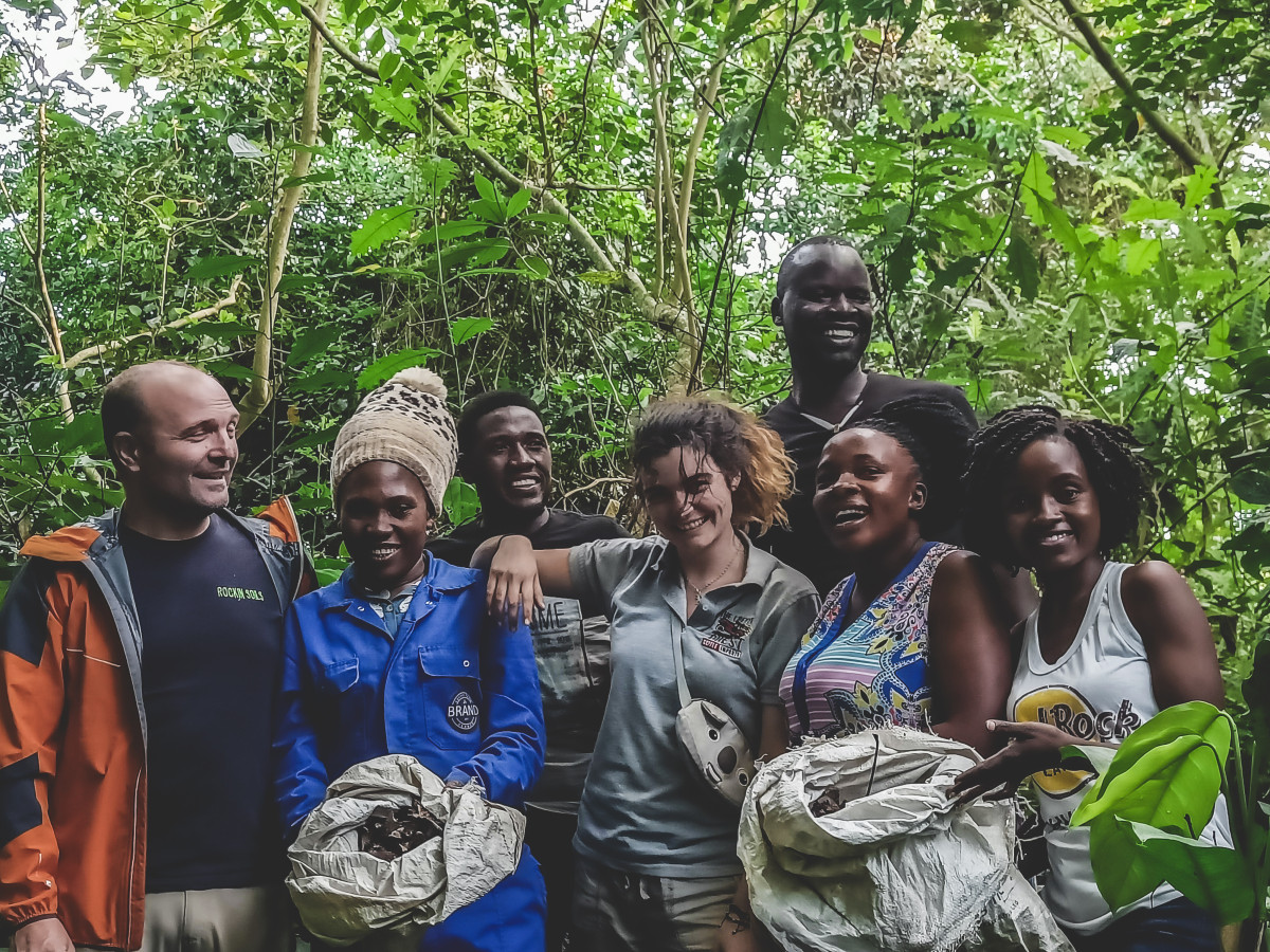 From nursery bed to coffee tree — understanding the journey