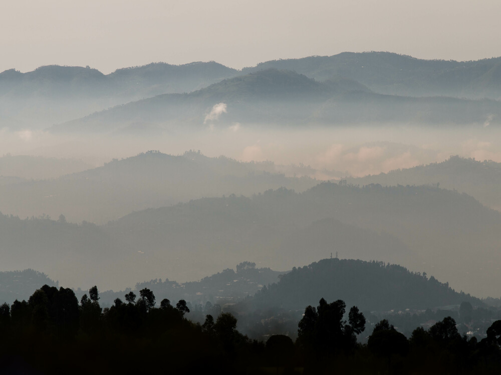 Best Time for Gorilla Trekking in Rwanda (2026/2027)