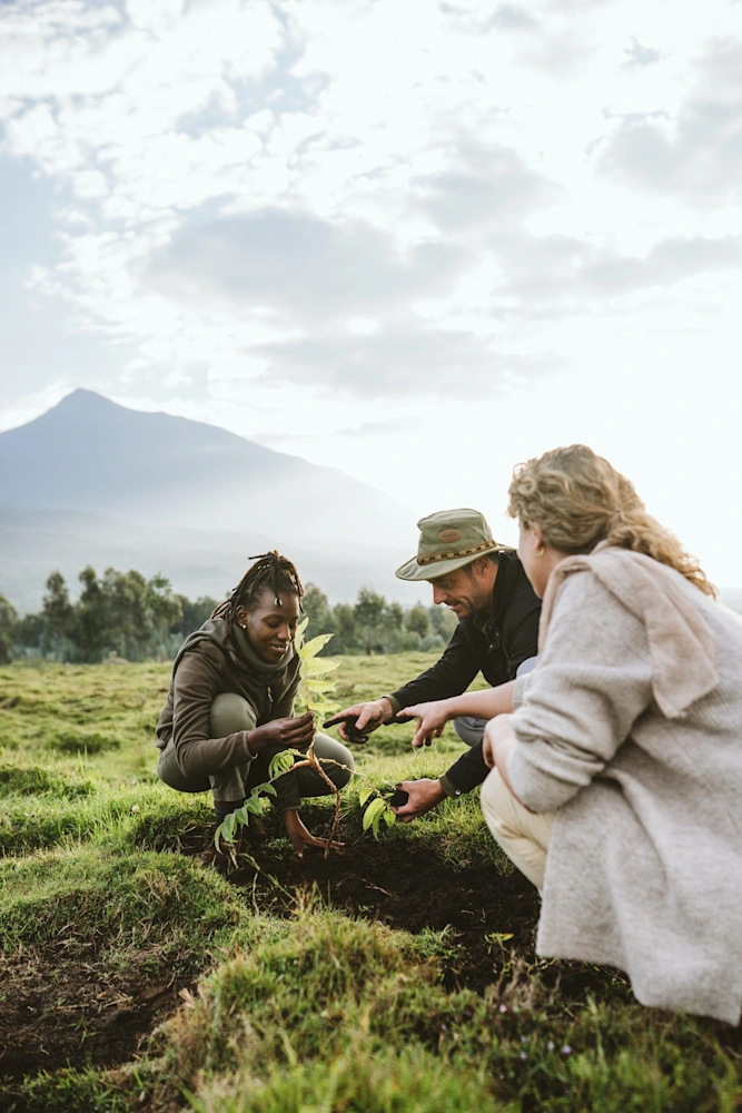 5 days luxury honeymoon in Rwanda for gorilla trekking