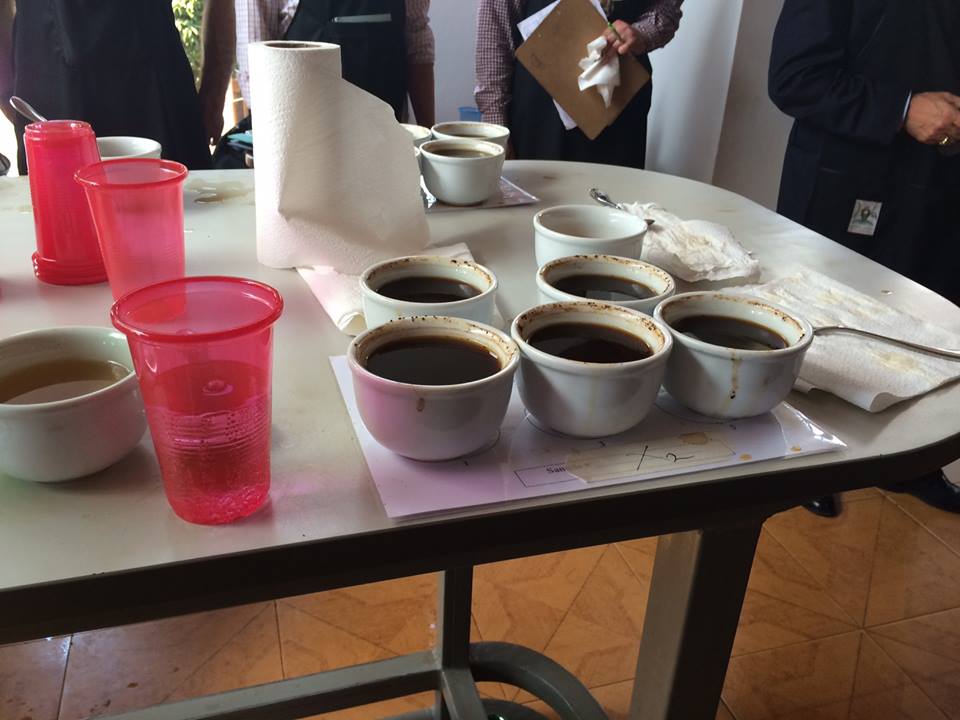 Nextgen Safaris Coffee Tasting Experience