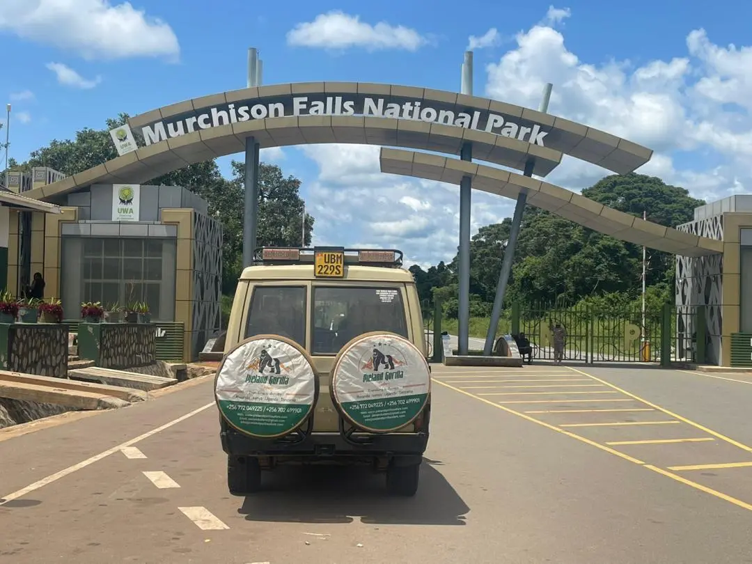 Pieland in Murchison National Park during safari