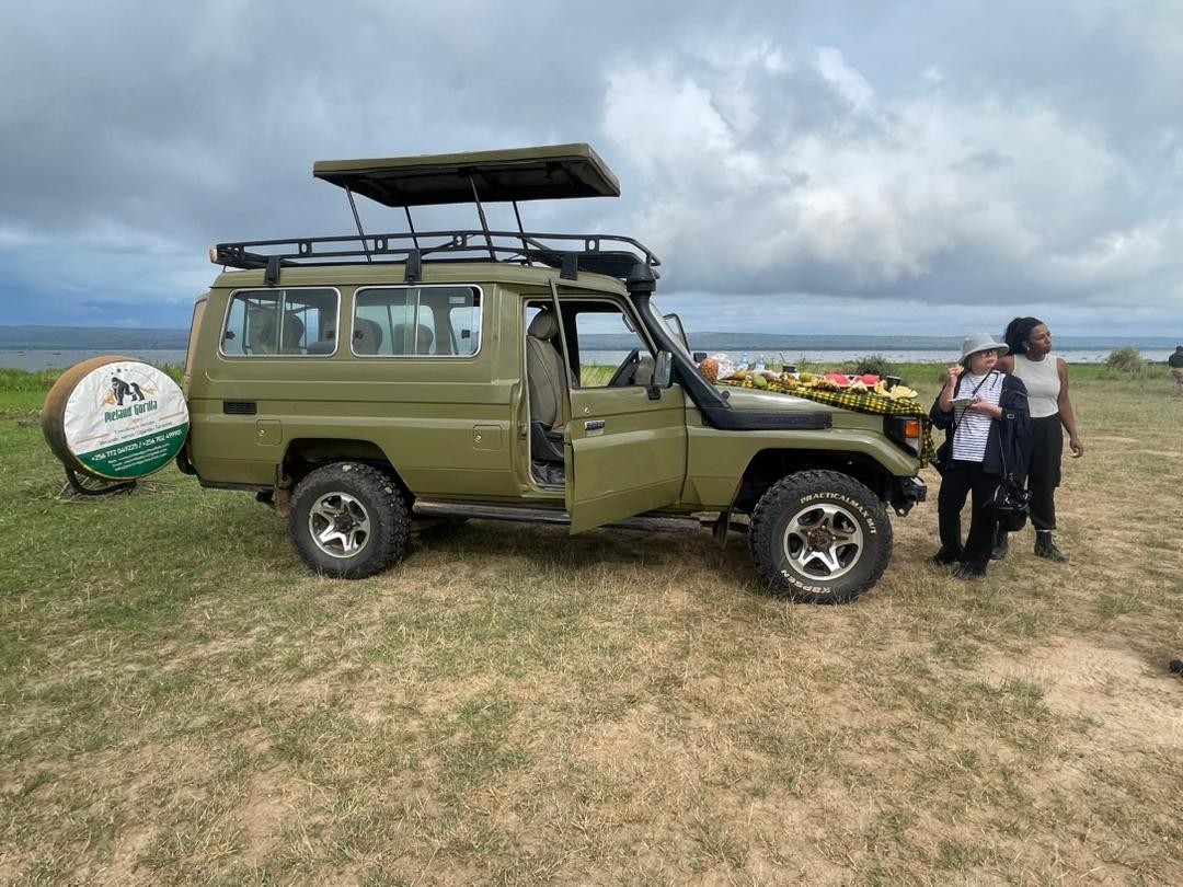 Pieland Land Cruiser safari vehicle in action