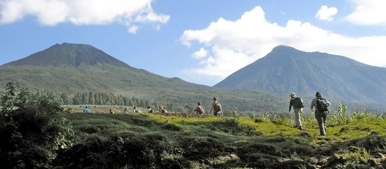 How to Plan Your Rwanda Honeymoon Safari

