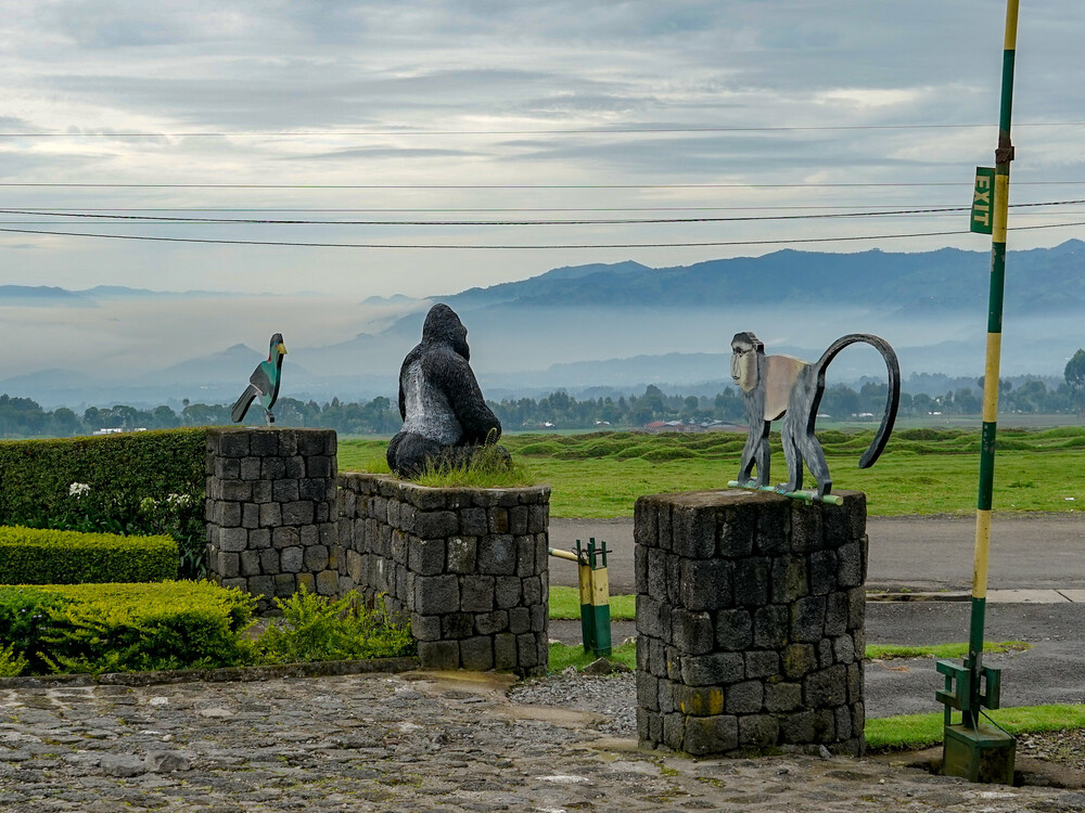 Volcanoes National Park for honeymooners in Rwanda