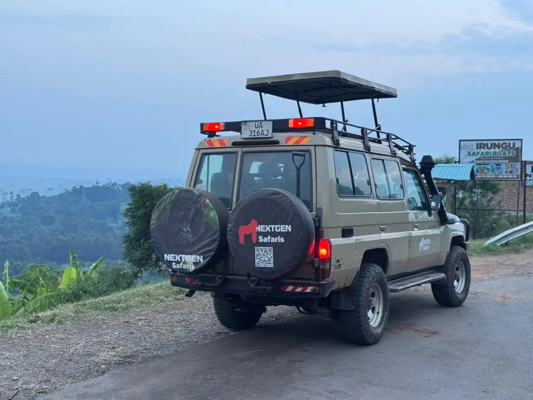 Safari moments with travelers in East Africa wilderness