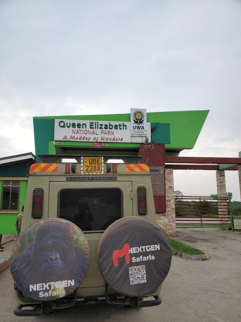 Safari guests on a wildlife adventure