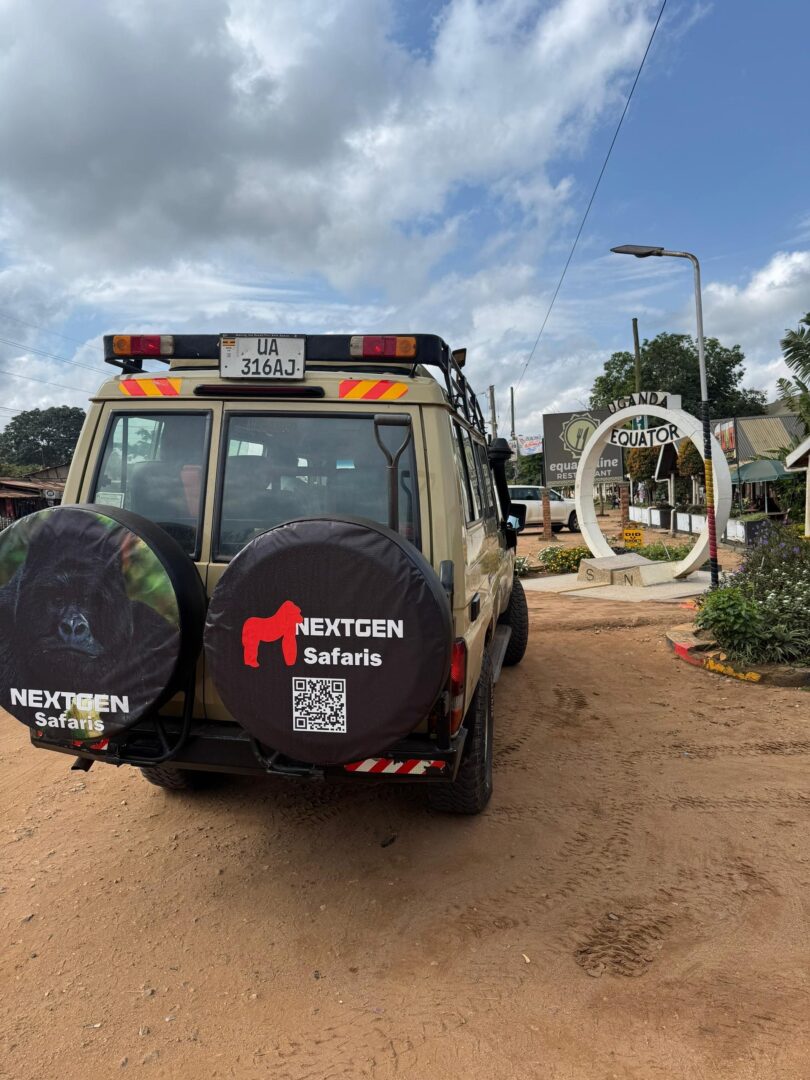 Safari wildlife moments with Nextgen Safaris guests