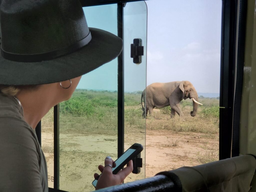 Overview of the 3 Days Midrange Queen Elizabeth National Park Safari