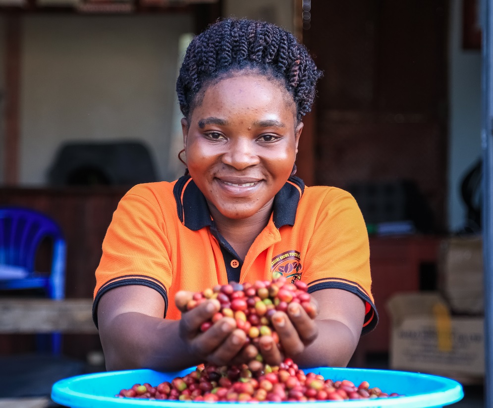 Why Uganda is one of Africa’s finest coffee origins – farm to cup coffee Uganda