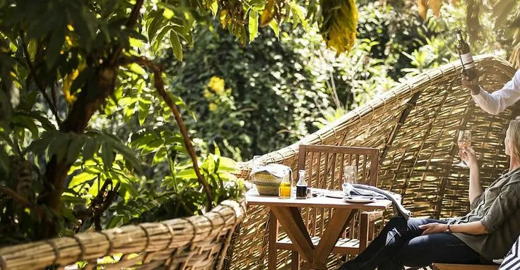 Wilderness Bisate Lodge by Nextgen Safaris