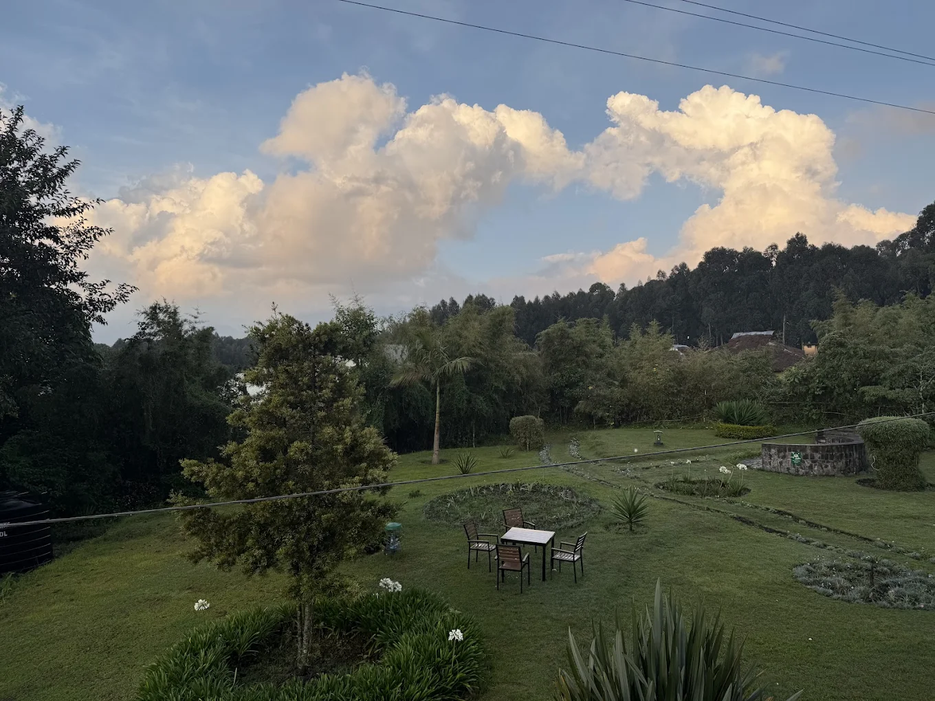 Da Vinci Gorilla Lodge