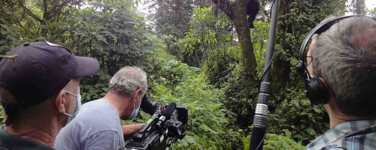 Filming Logistics & Production Support