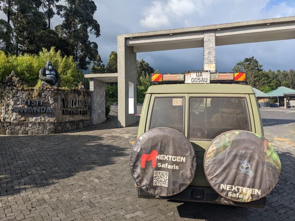 Gorilla trekking in Volcanoes National Park