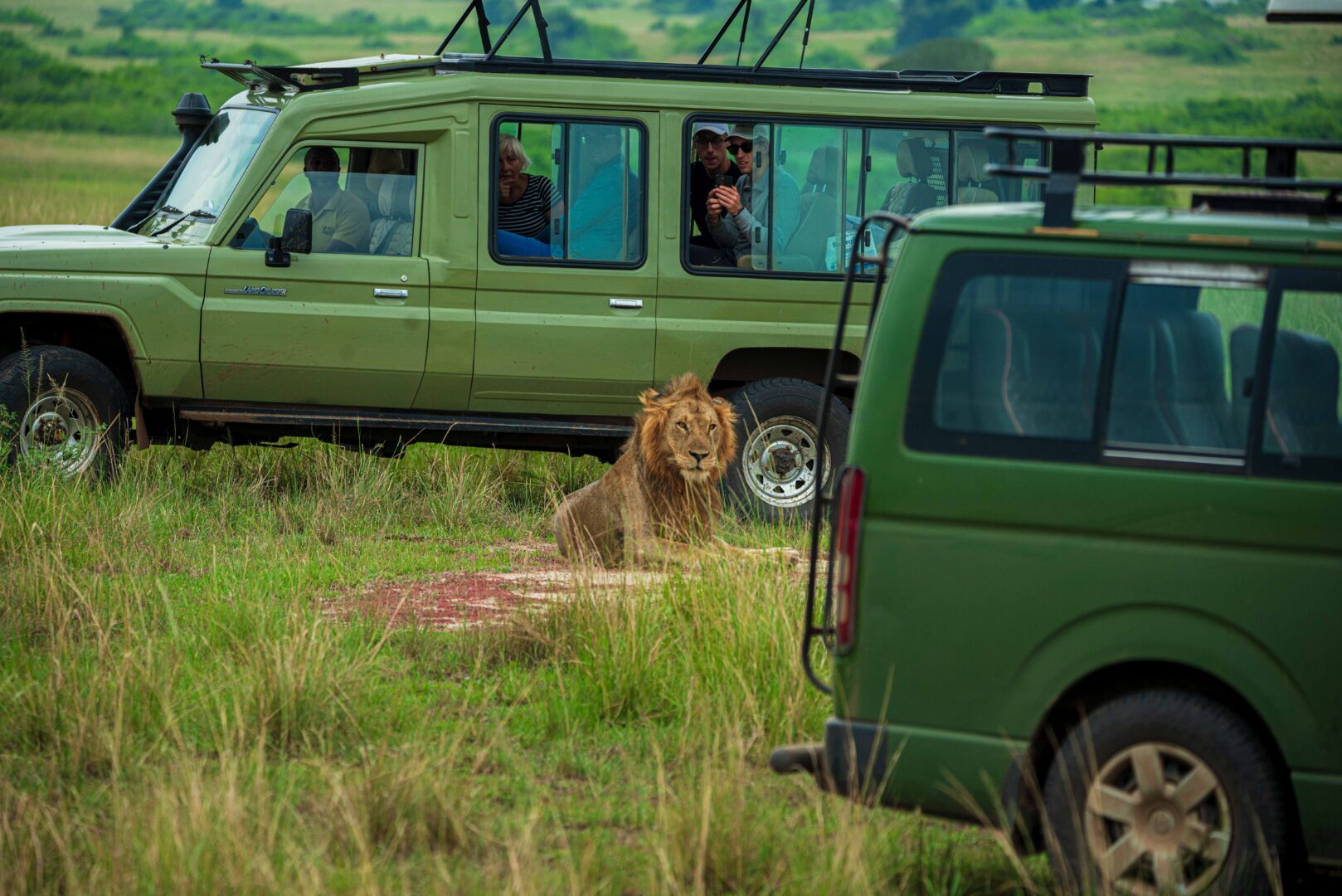 Luxury Big Five Safaris in Uganda