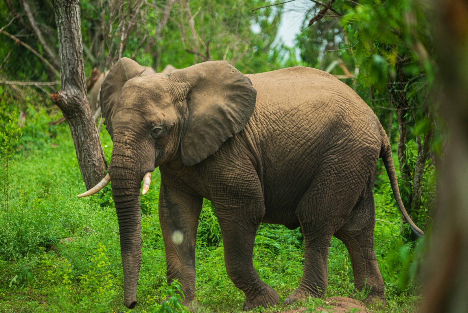 5 Days Safari & Cultural Tour