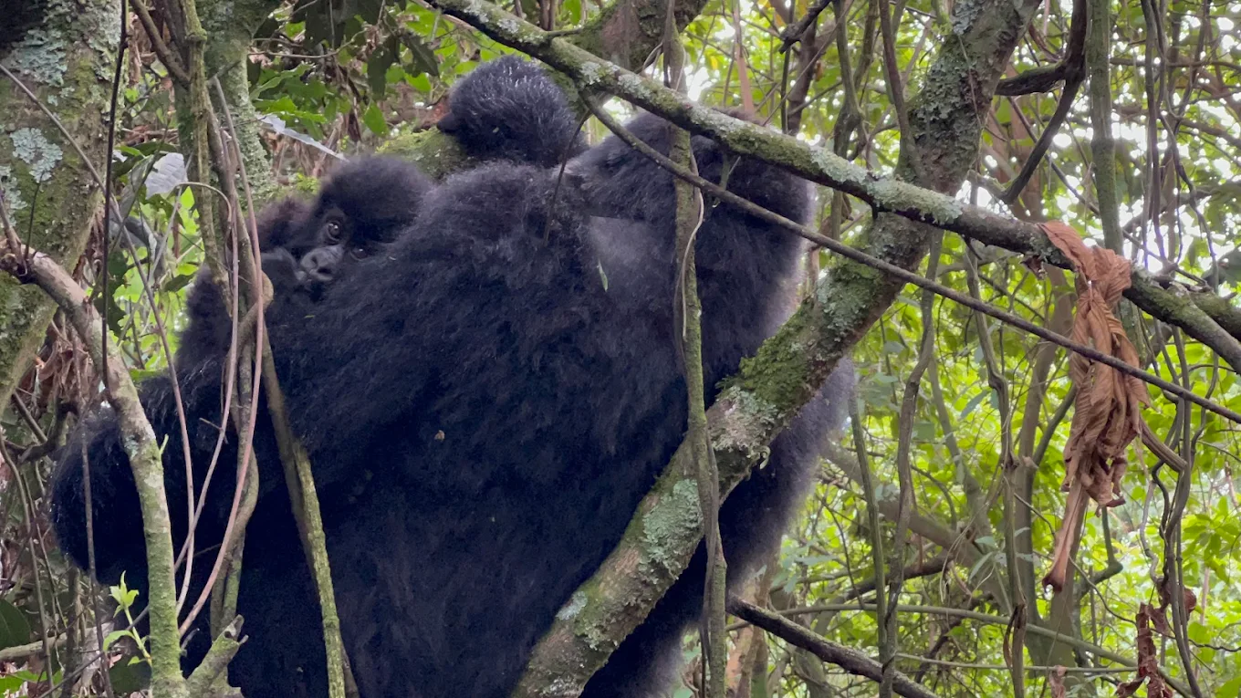 Final Recommendation – How Many Days Should You Personally Plan?