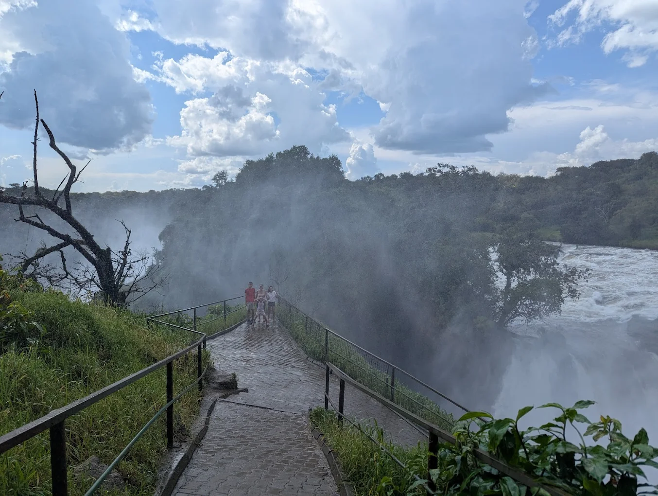 Top of the Falls at Murchison Falls National Park