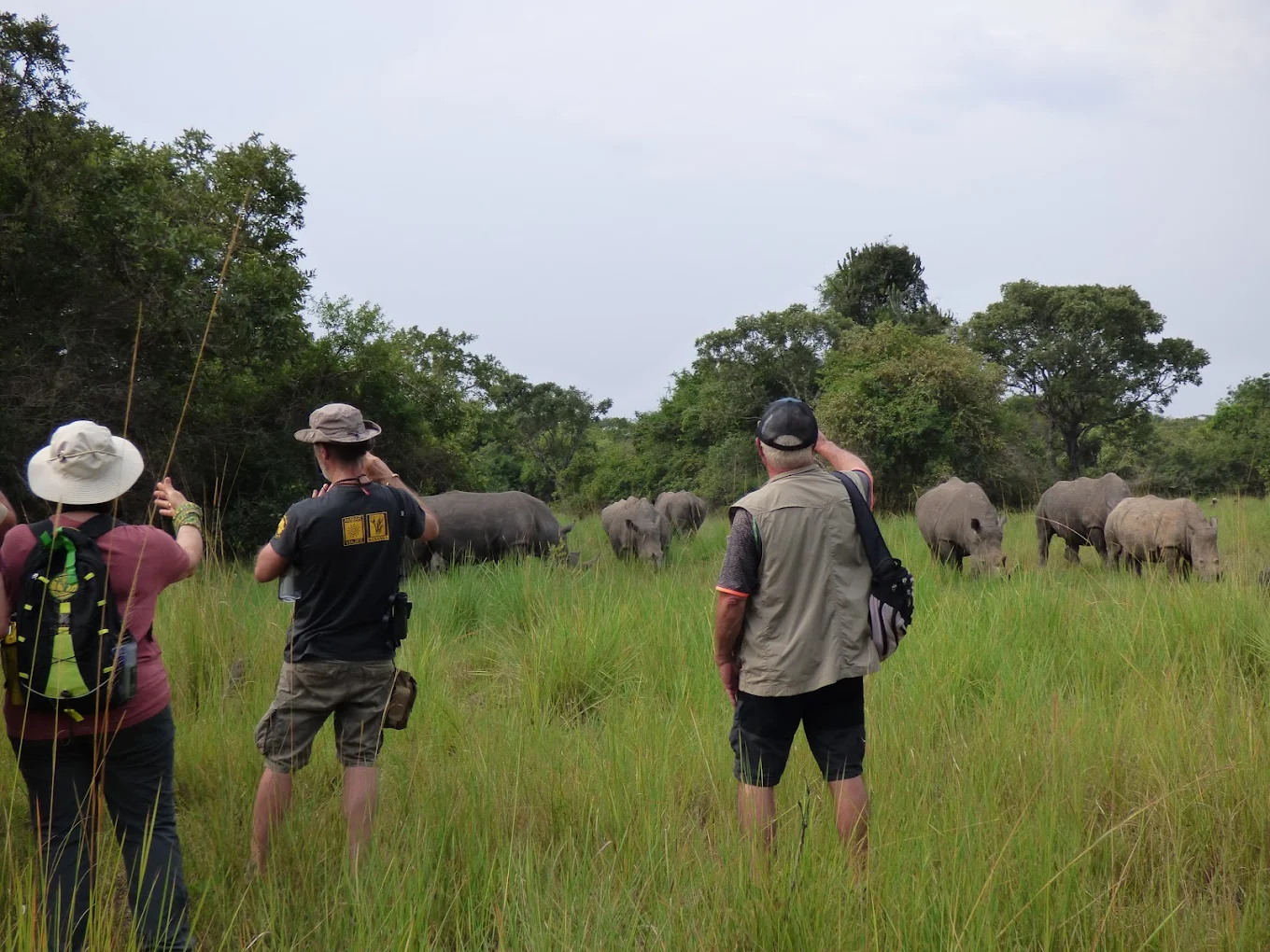 Uganda rhino tracking at Ziwa