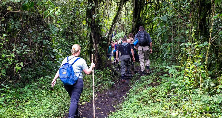 Walking safaris in Queen Elizabeth National Park