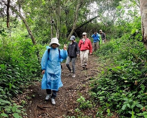 9 Days Hiking & Wildlife Safari