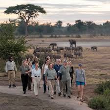 6 Days Uganda Walking Safari
