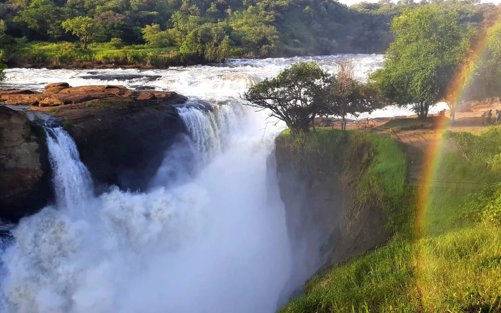 Ziwa Rhino Sanctuary vs Murchison Falls – What’s the Difference?