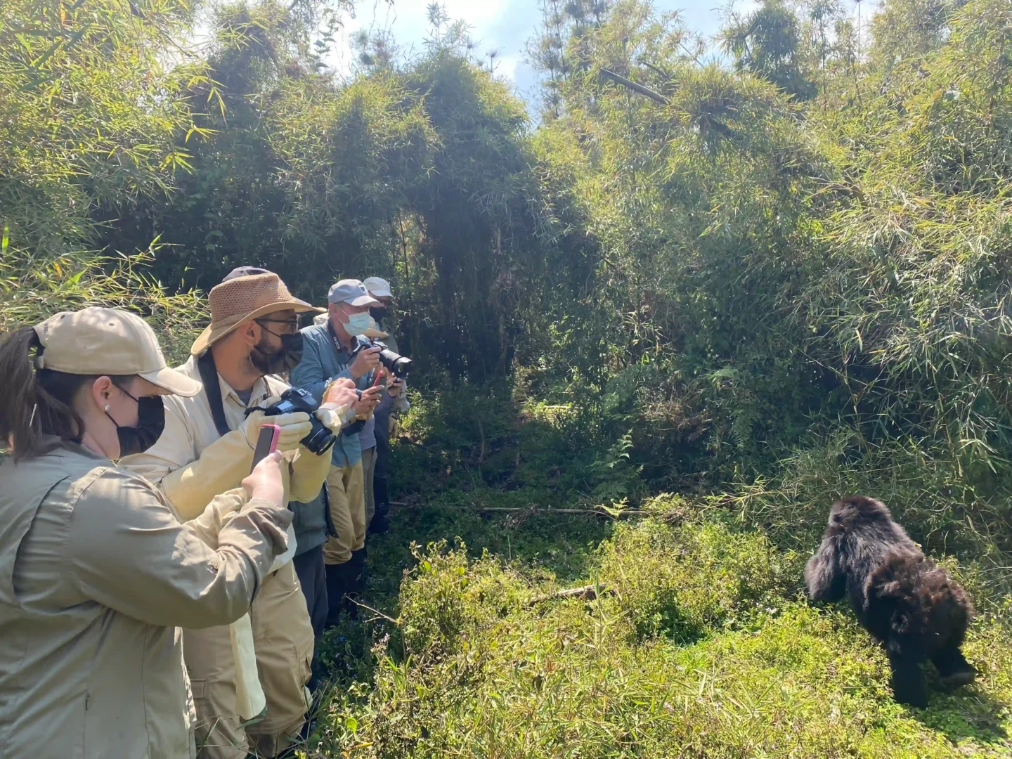 4 Day Best Rwanda Gorilla Trekking Tour