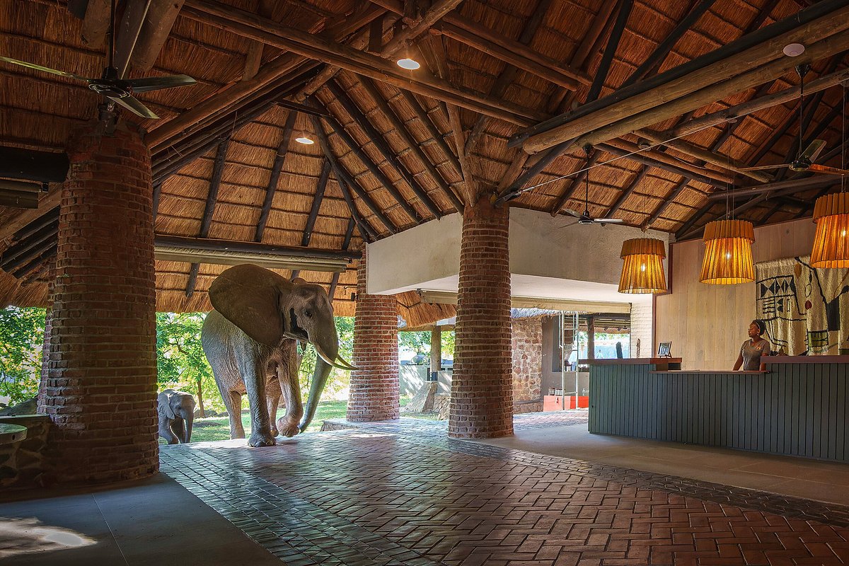 Luxury Lodges in North Luangwa National Park