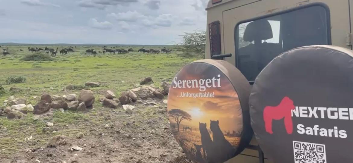 Affordable Tanzania Wildlife Safari