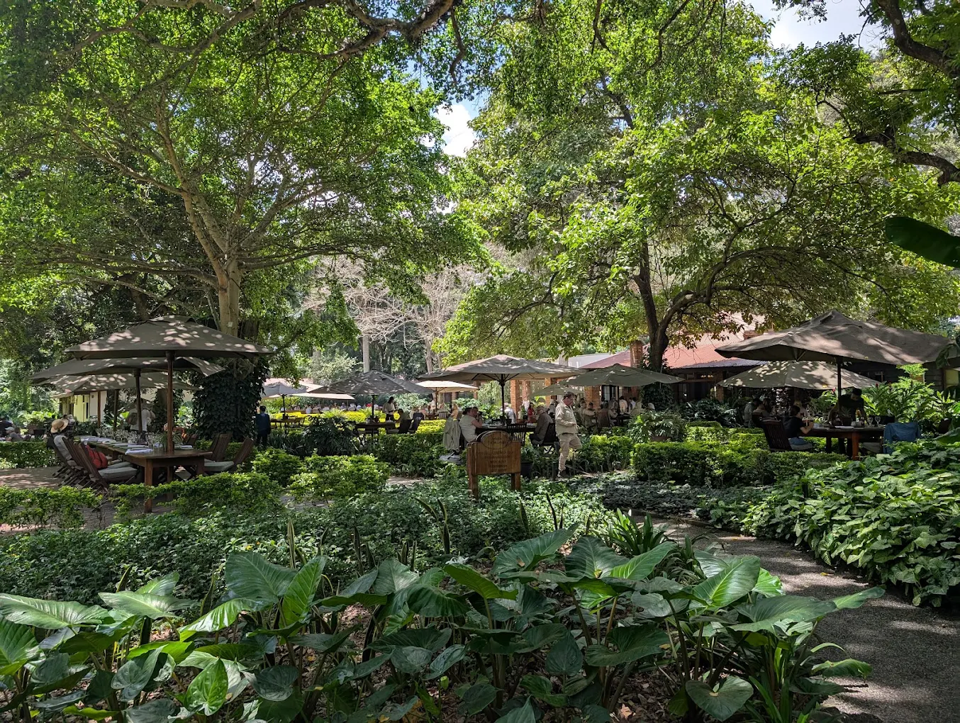 Arusha Coffee Lodge on a luxury Tanzania safari and gorilla trekking adventure