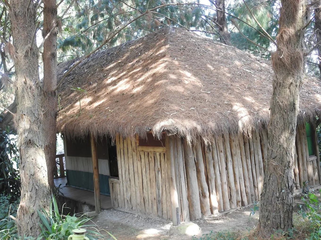 Accommodation tents at Broadbill Forest Camp Ruhija