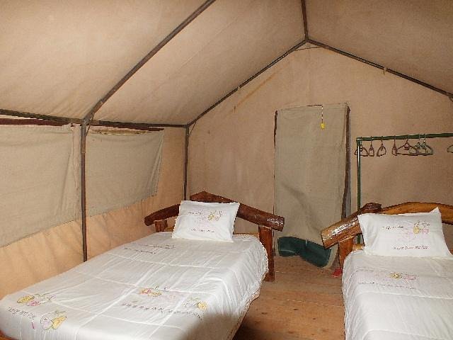 Broadbill Forest Camp Guest Room