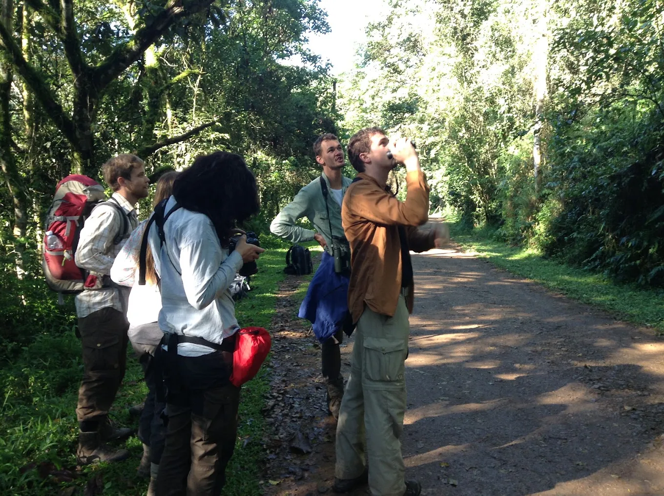 Birding and Nature Walks in Bwindi Forest