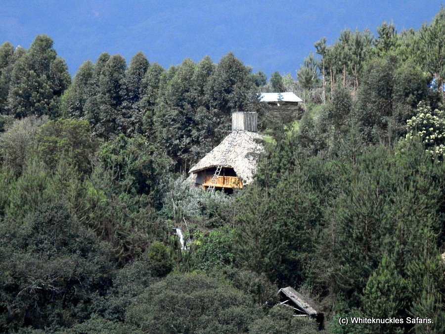 Broadbill Forest Camp distant view near Bwindi forest